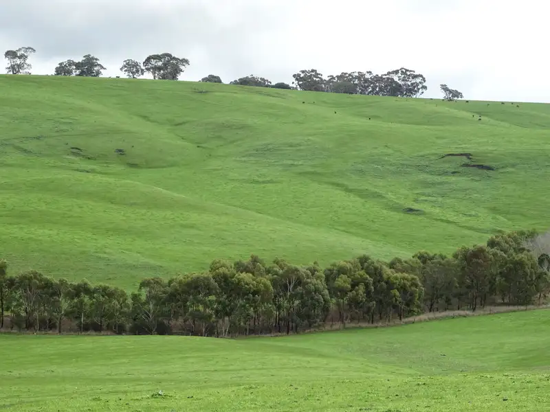 Main view of Homely rural property listing, Upper Hilgay Road, Coleraine VIC 3315