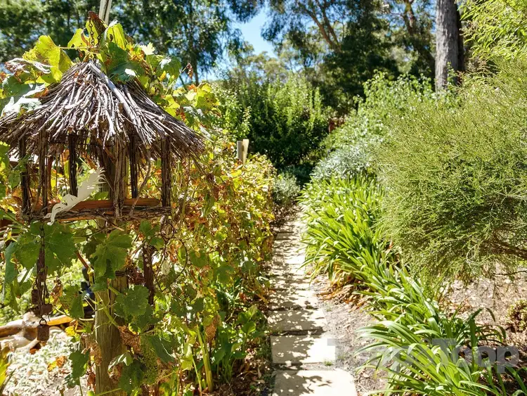 Sixth view of Homely house listing, 13 Whitewood Drive, Upper Sturt SA 5156