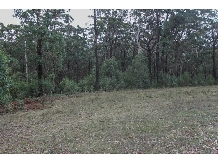 Fifth view of Homely rural property listing, 241 Eusdale Road, Yetholme NSW 2795