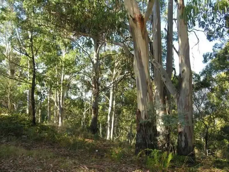 Sixth view of Homely house listing, 83 Gears Hill Road, Tolmie VIC 3723