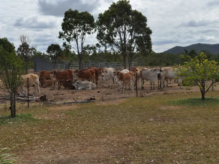 164 Springmount Weir Road, Mareeba QLD 4880