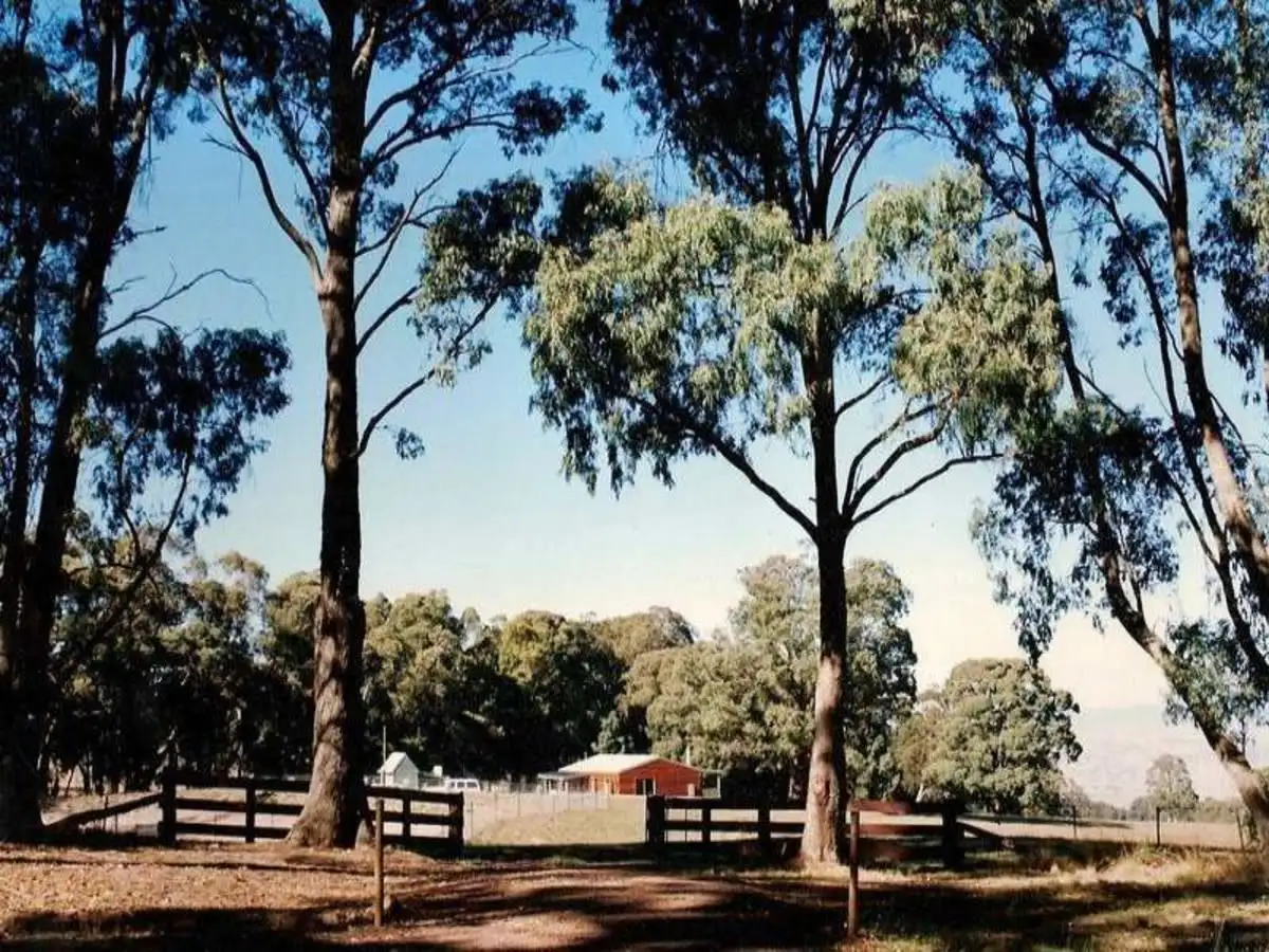 Main view of Homely house listing, 1090 old tolmie Road, Barwite VIC 3722