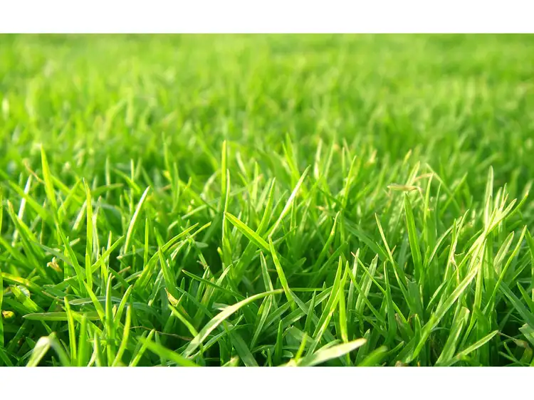 LOT 1 Bayview Road, Tooradin VIC 3980