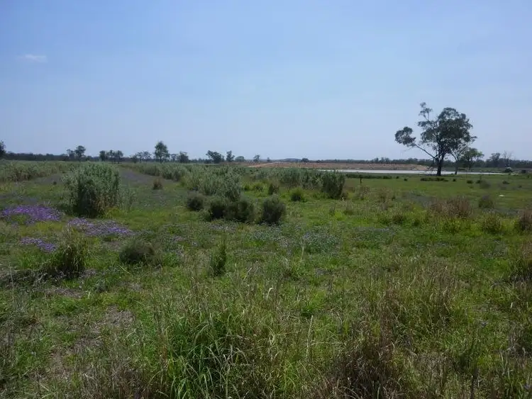 Seventh view of Homely rural property listing, Lot 2078 Rosenthal-Boundary Road, Clifton QLD 4361