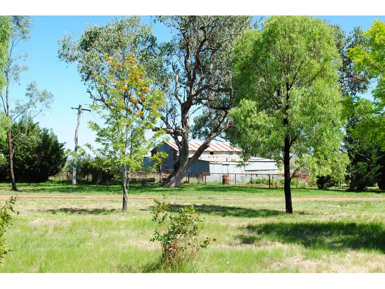 Fifth view of Homely rural property listing, 655 Stapletons Road, Molong NSW 2866