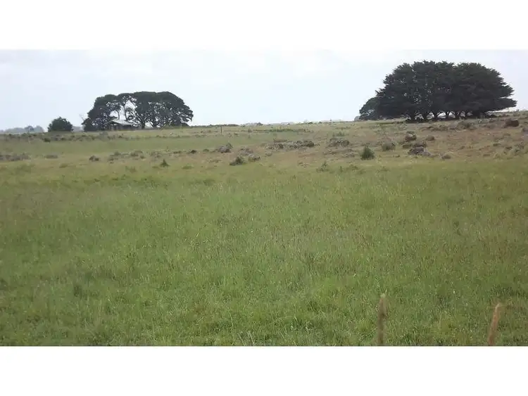Sixth view of Homely rural property listing, 1439 Tarrone Lane, Tarrone VIC 3283