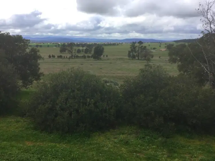 Fourth view of Homely rural property listing, - 'Box Field Park' Loch Lomond Road, Gooloogong NSW 2805