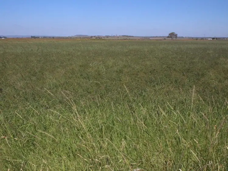 Fourth view of Homely rural property listing, 368 Dungannon Road, Clifton QLD 4361