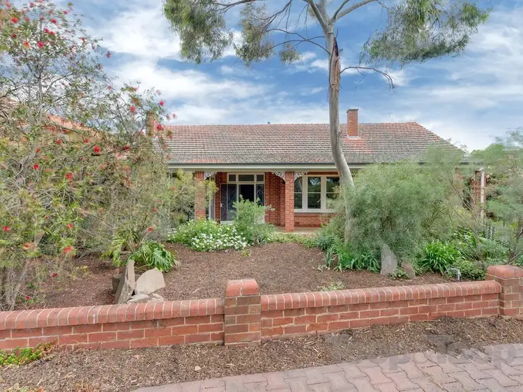Main view of Homely house listing, 13 Salisbury Terrace, Collinswood SA 5081