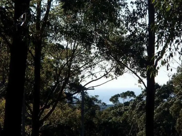 Fourth view of Homely rural property listing, Lot 1 Woodburn Road, Morton NSW 2538