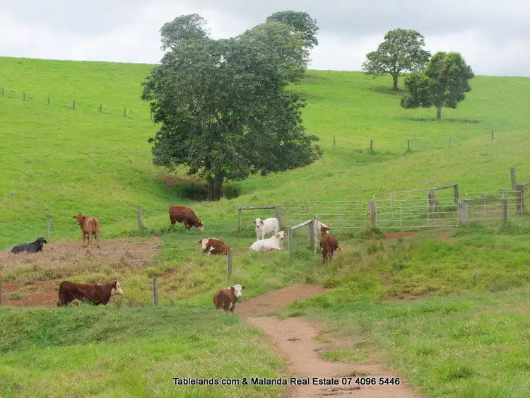 F272/RN571 Merragallan Road, Malanda QLD 4885