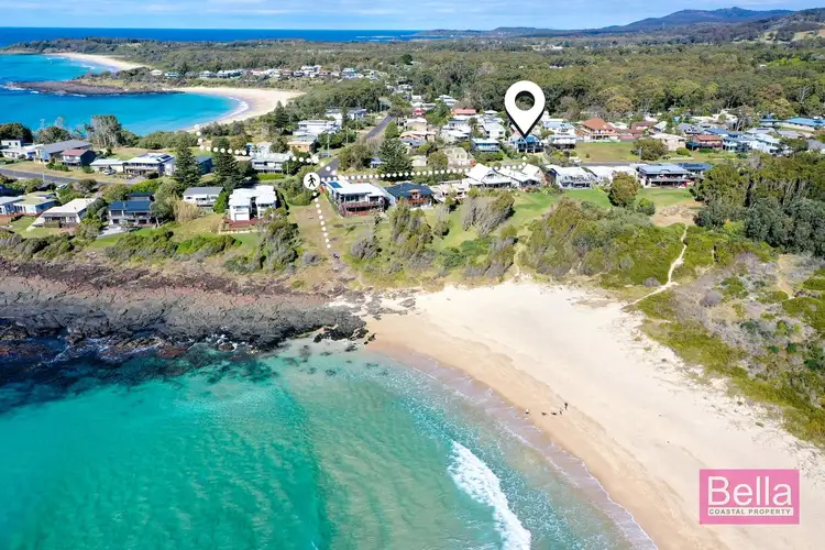 22 Harrington Crescent, Bawley Point NSW 2539