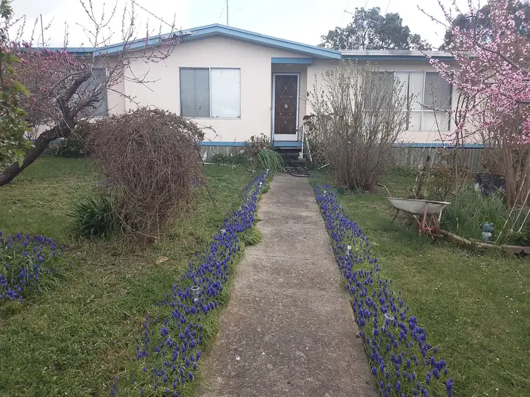 49 Warne Street, Bombala NSW 2632