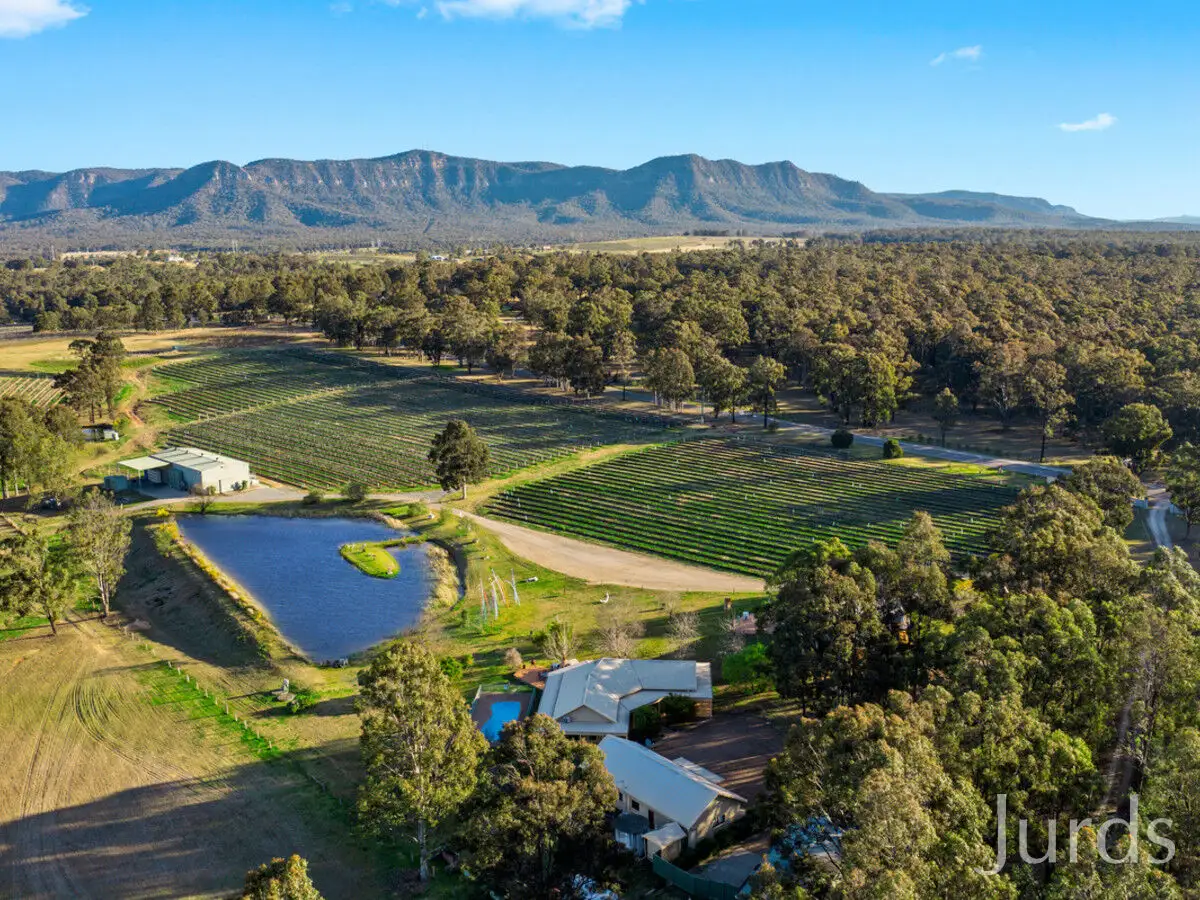 Main view of Homely rural property listing, 771 Hermitage Road, Pokolbin NSW 2320