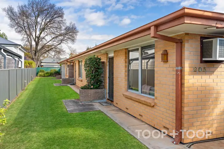 Main view of Homely unit listing, 1/205 Fisher Street, Malvern SA 5061