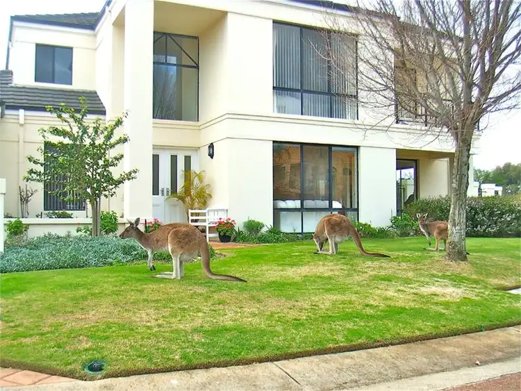 Main view of Homely house listing, 13 Bollinger Close, The Vines WA 6069