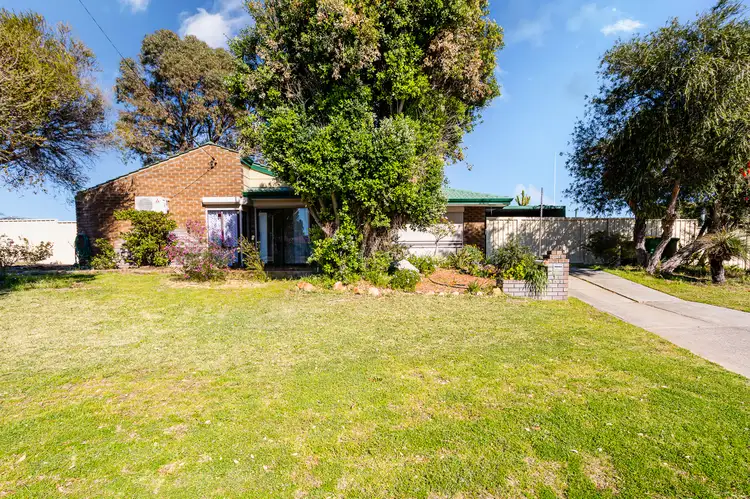 Main view of Homely house listing, 53 Warnbro Sound Avenue, Warnbro WA 6169