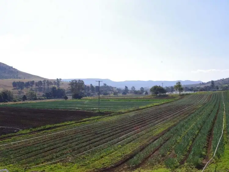 Second view of Homely rural property listing, 369 Lefthand Branch Road, Lefthand Branch QLD 4343