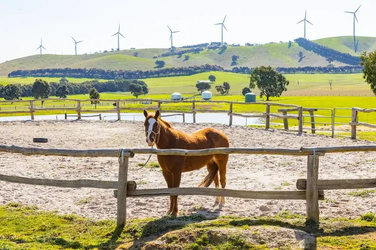 Sixth view of Homely rural property listing, 866 Challicum Road, Buangor VIC 3375