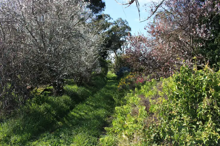 Seventh view of Homely rural property listing, 925 Corangamite Lake Road, Coragulac VIC 3249