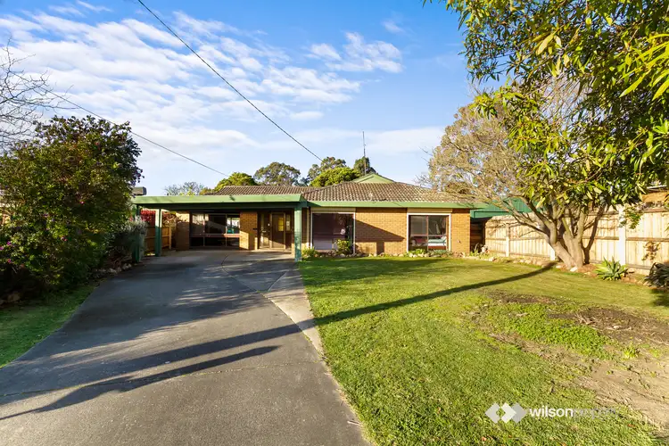 Main view of Homely house listing, 11 Blundell Court, Traralgon VIC 3844