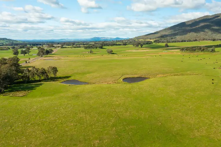 Second view of Homely rural property listing, Darmodys Road, Leneva VIC 3691