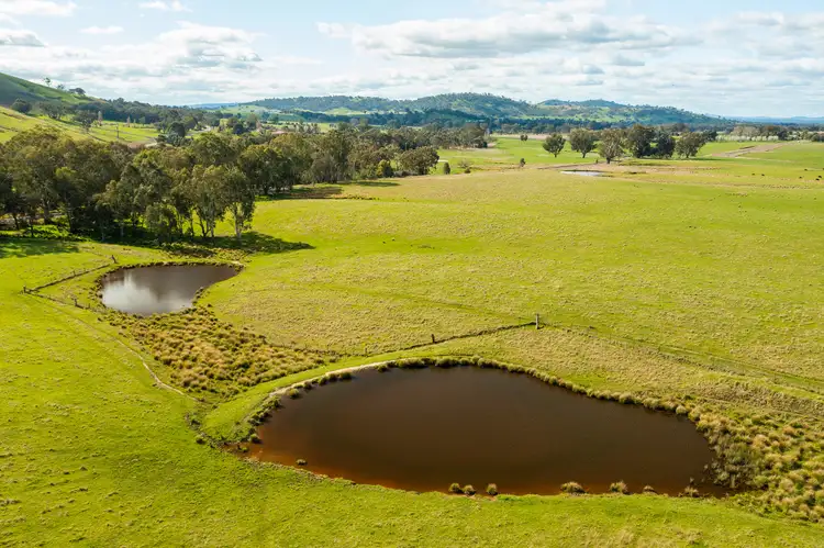 Seventh view of Homely rural property listing, Darmodys Road, Leneva VIC 3691