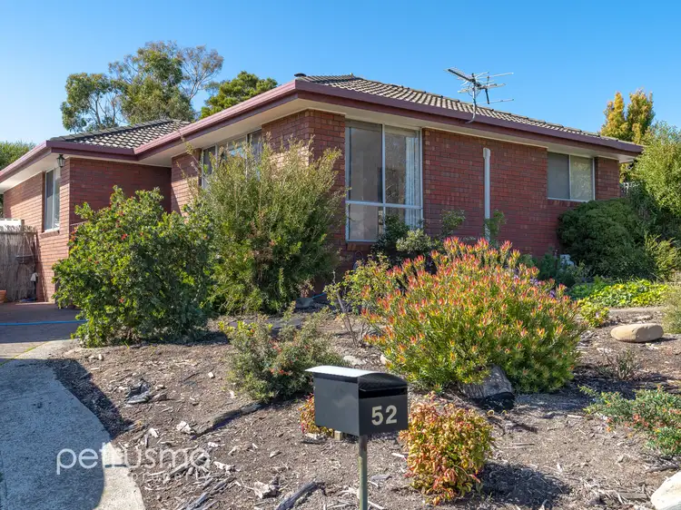 52 Fern Street
