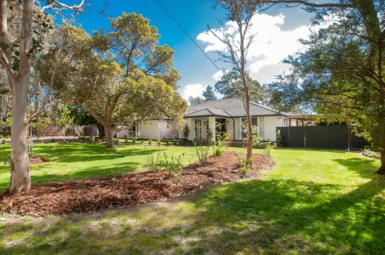 13 Sibyl Avenue, Frankston South VIC 3199