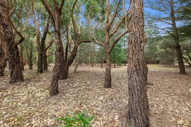 Third view of Homely house listing, 825 Great Ocean Road, Bellbrae VIC 3228