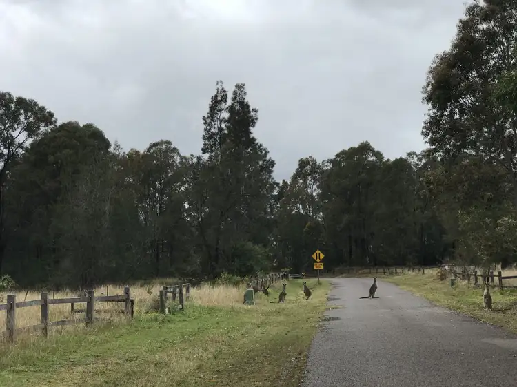 Seventh view of Homely land listing, LOT 43, 24 Spring Harvest Close, Pokolbin NSW 2320