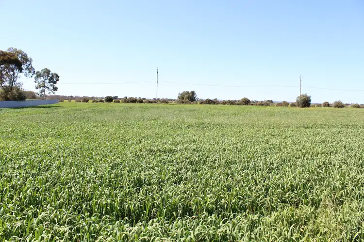 Main view of Homely land listing, Lots 87 & 88 Dunns Road, Balaklava SA 5461