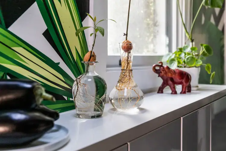 Sixth view of Homely house listing, 25 Goodchap Street, Surry Hills NSW 2010