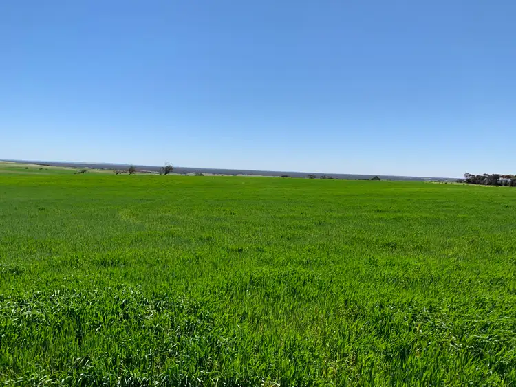 Main view of Homely rural property listing, 19943 Flinders Highway, Talia SA 5670