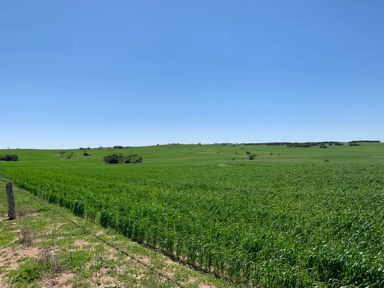 Second view of Homely rural property listing, 19943 Flinders Highway, Talia SA 5670