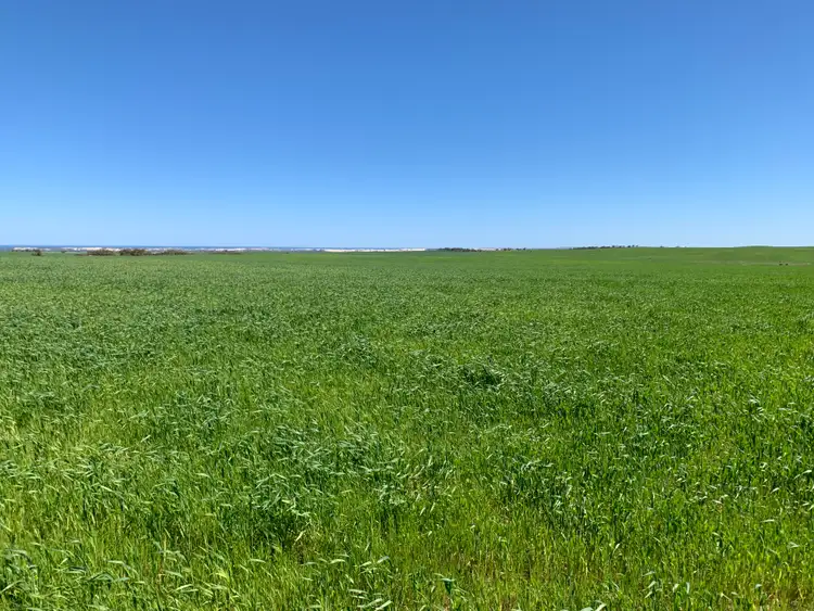 Fifth view of Homely rural property listing, 19943 Flinders Highway, Talia SA 5670