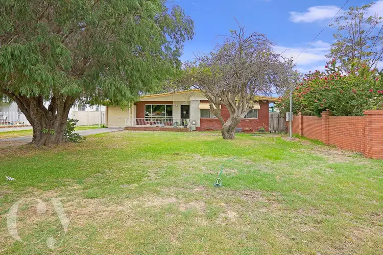 Main view of Homely house listing, 14 Flavia Street, Falcon WA 6210