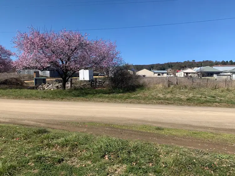 Main view of Homely land listing, 44 Therry Street, Bombala NSW 2632