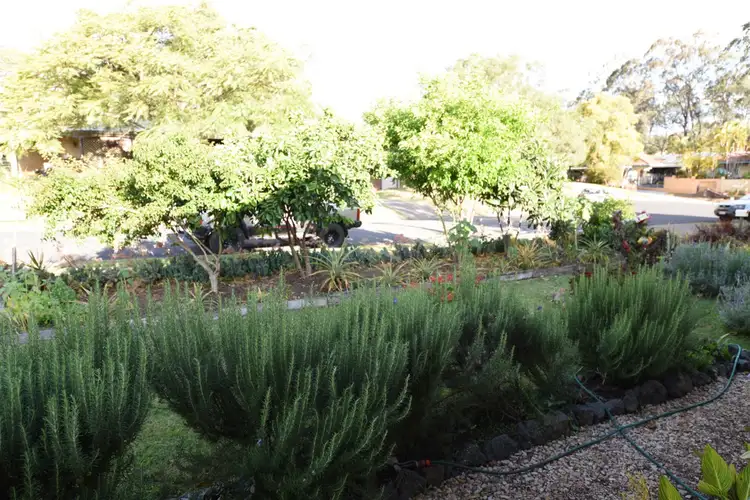 Fifth view of Homely house listing, 31 Hill Street, Gatton QLD 4343