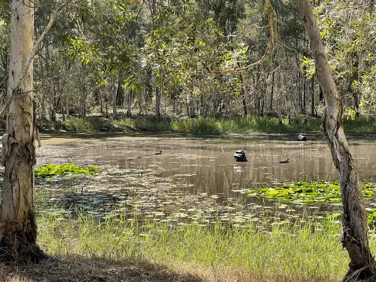 Third view of Homely rural property listing, 350 Teviot Road, North Maclean QLD 4280