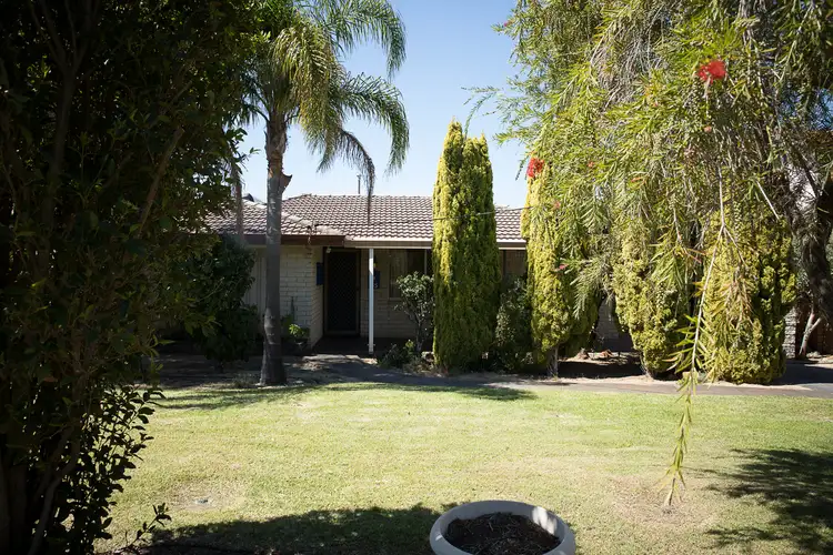 Third view of Homely house listing, 35 Dongara Street, Innaloo WA 6018