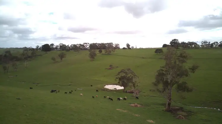 Beatons Road, Jancourt VIC 3266