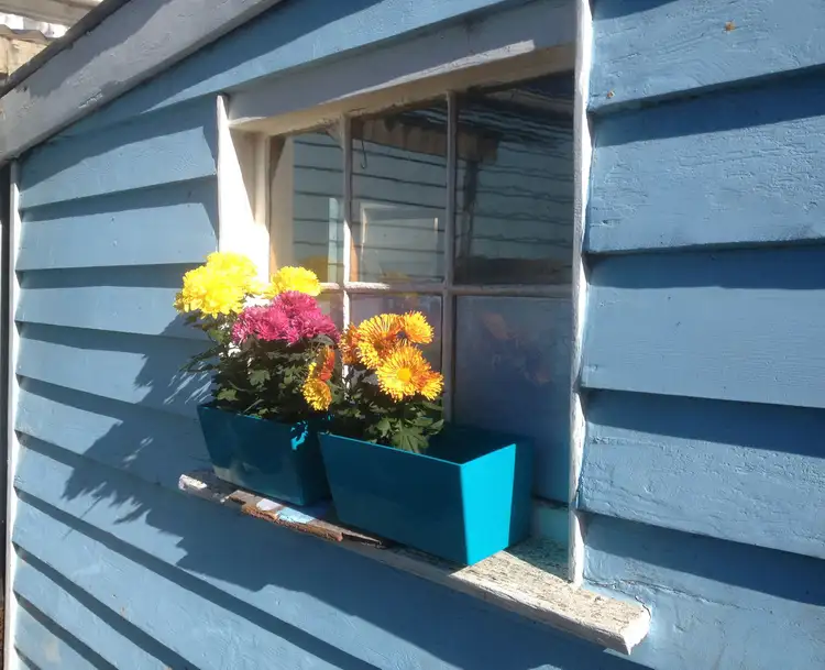Second view of Homely rural property listing, 23 Lang Street, Beeac VIC 3251
