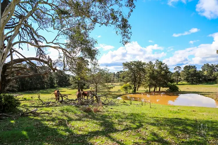 Seventh view of Homely land listing, 7031 Illawarra Highway, Moss Vale NSW 2577