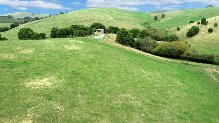 Third view of Homely rural property listing, 380 Boys Road, Buffalo VIC 3958