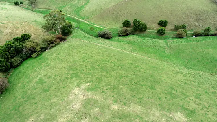 Fifth view of Homely rural property listing, 380 Boys Road, Buffalo VIC 3958