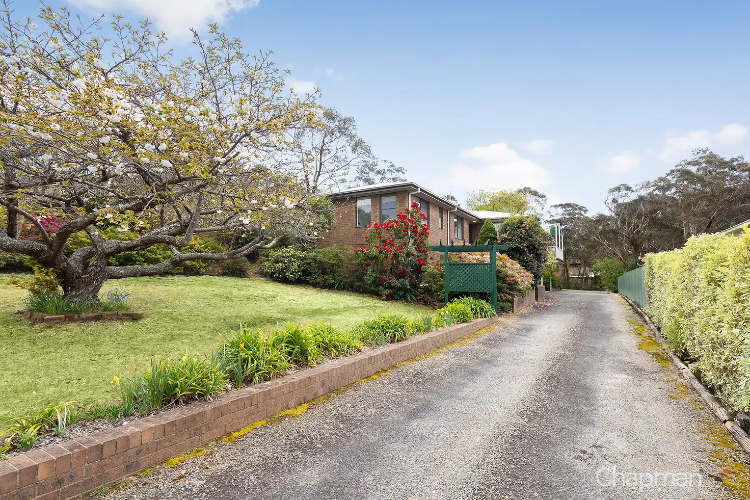 Main view of Homely house listing, 37 Wellington Road, Katoomba NSW 2780