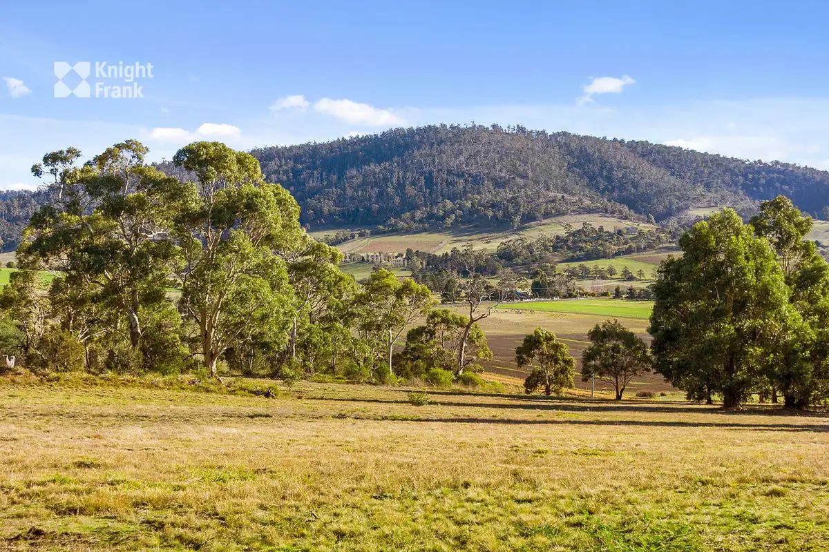 Main view of Homely land listing, 59 Hanslows Road, Cambridge TAS 7170