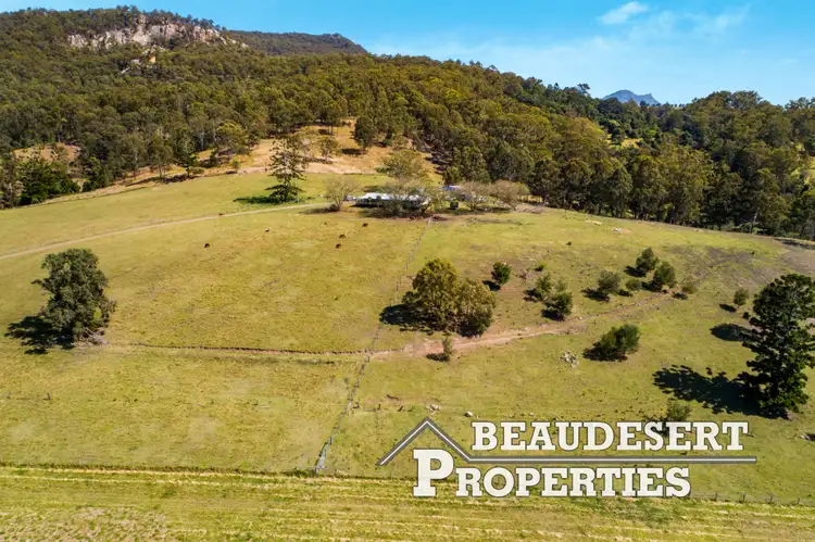 Third view of Homely rural property listing, 11658 Mt Lindesay Highway, Palen Creek QLD 4287