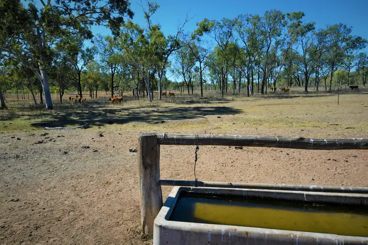 Fourth view of Homely rural property listing, LOT 2 Glenprairie Road, Marlborough QLD 4705